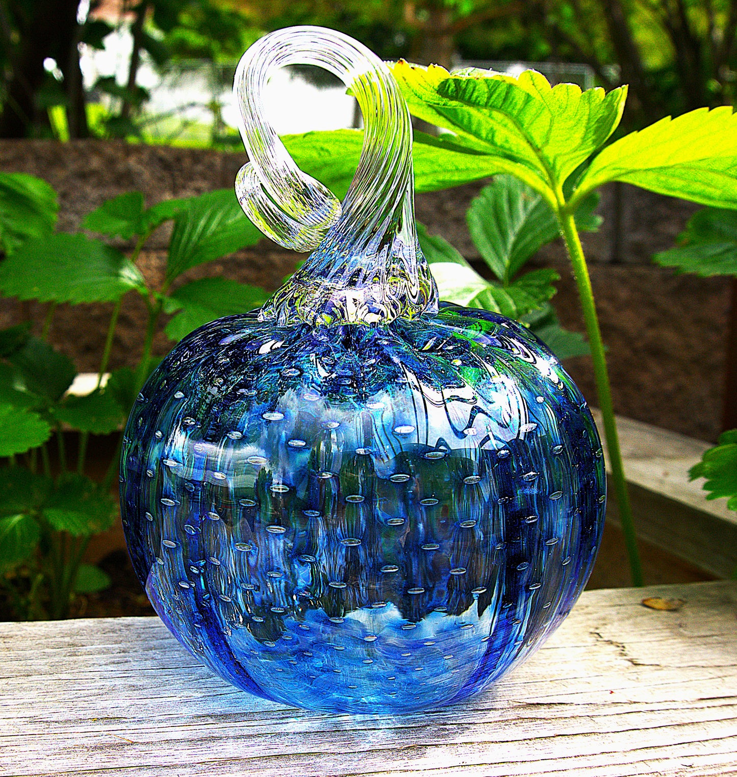 Blown Glass Pumpkins/For Vendors